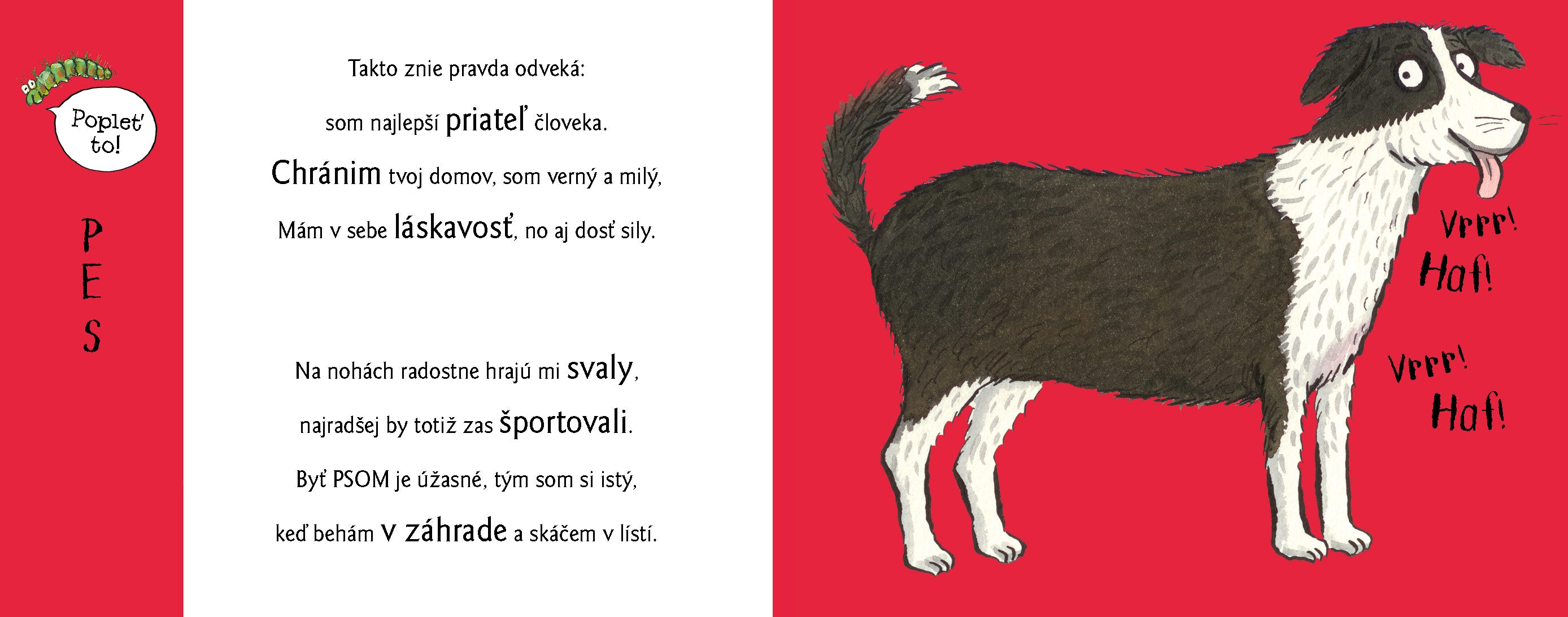 Roztopašné hry NA DVORE so zvieratkami