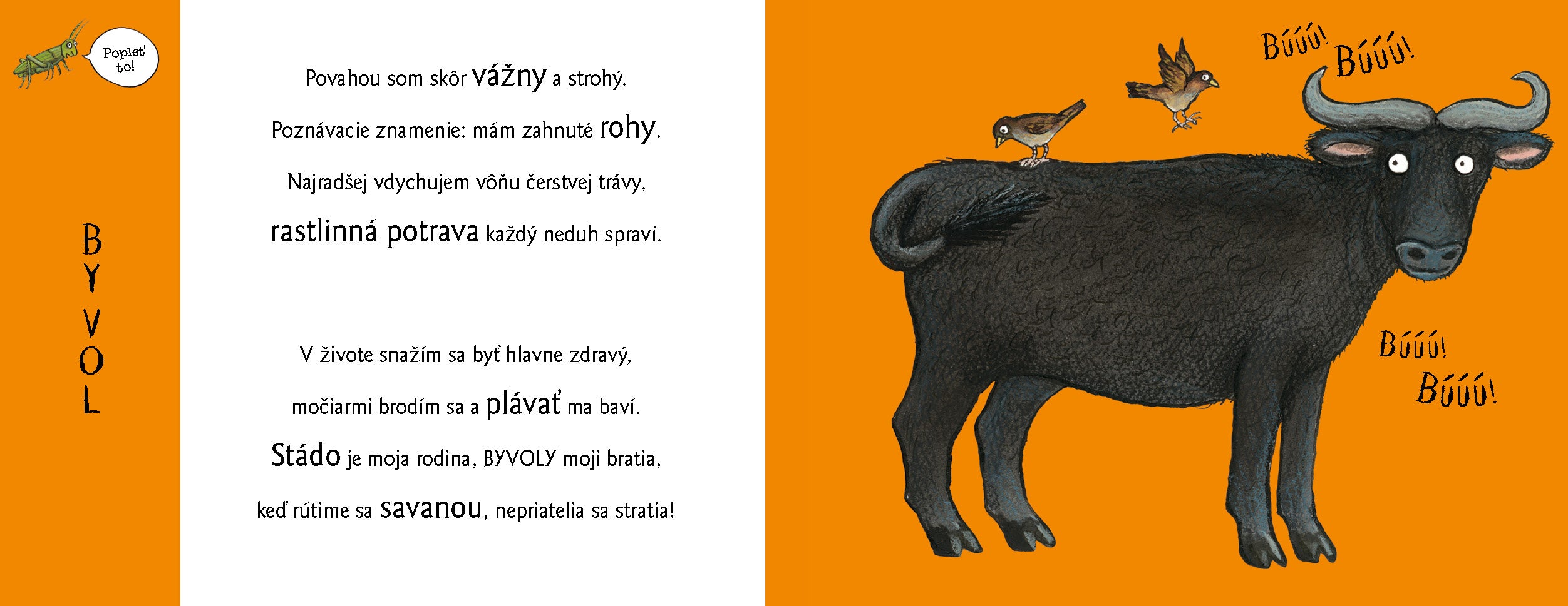 Roztopašné hry V ZOO so zvieratkami