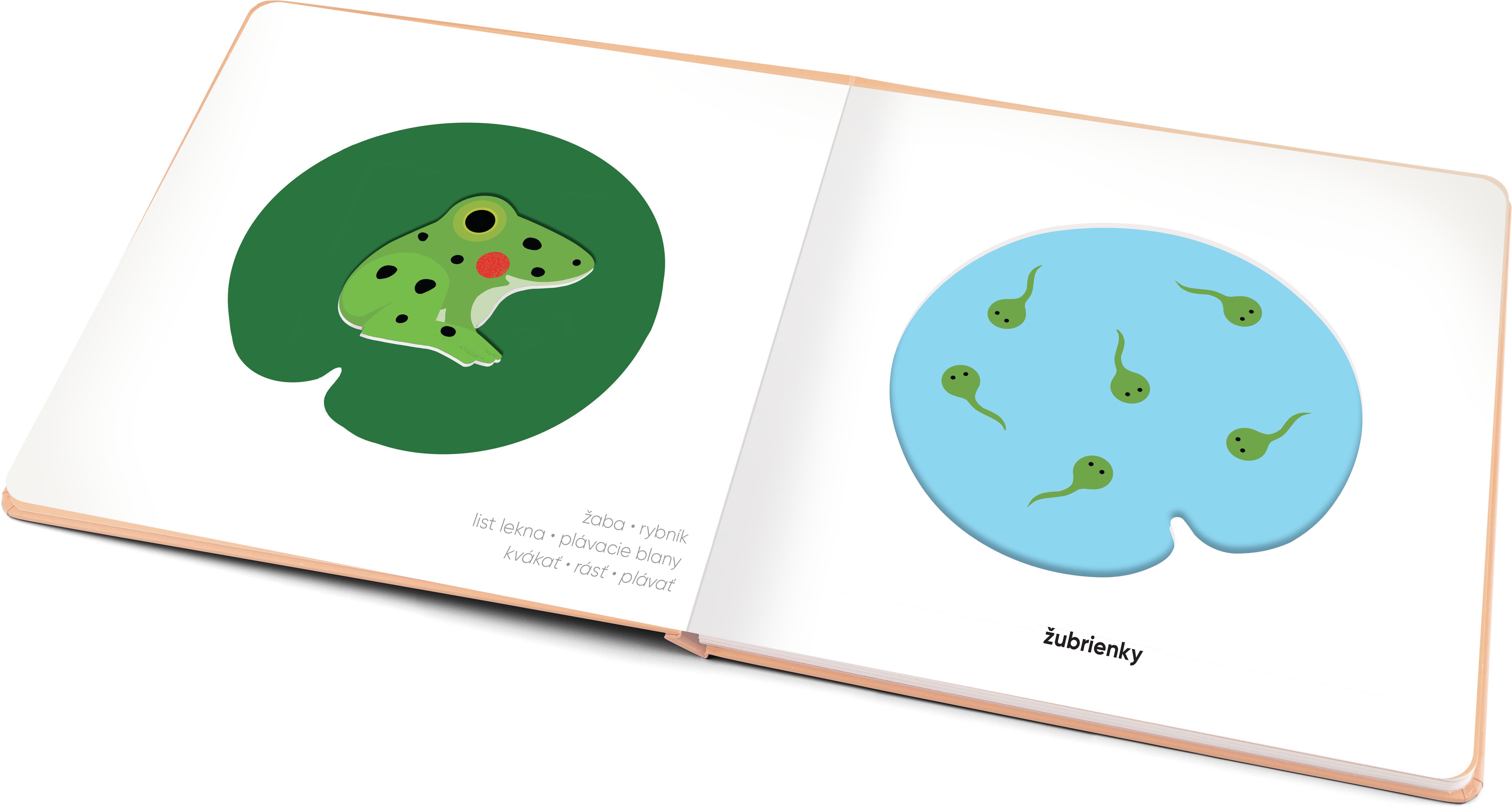 MOJE MLÁĎATKÁ – Klap klap obrázky