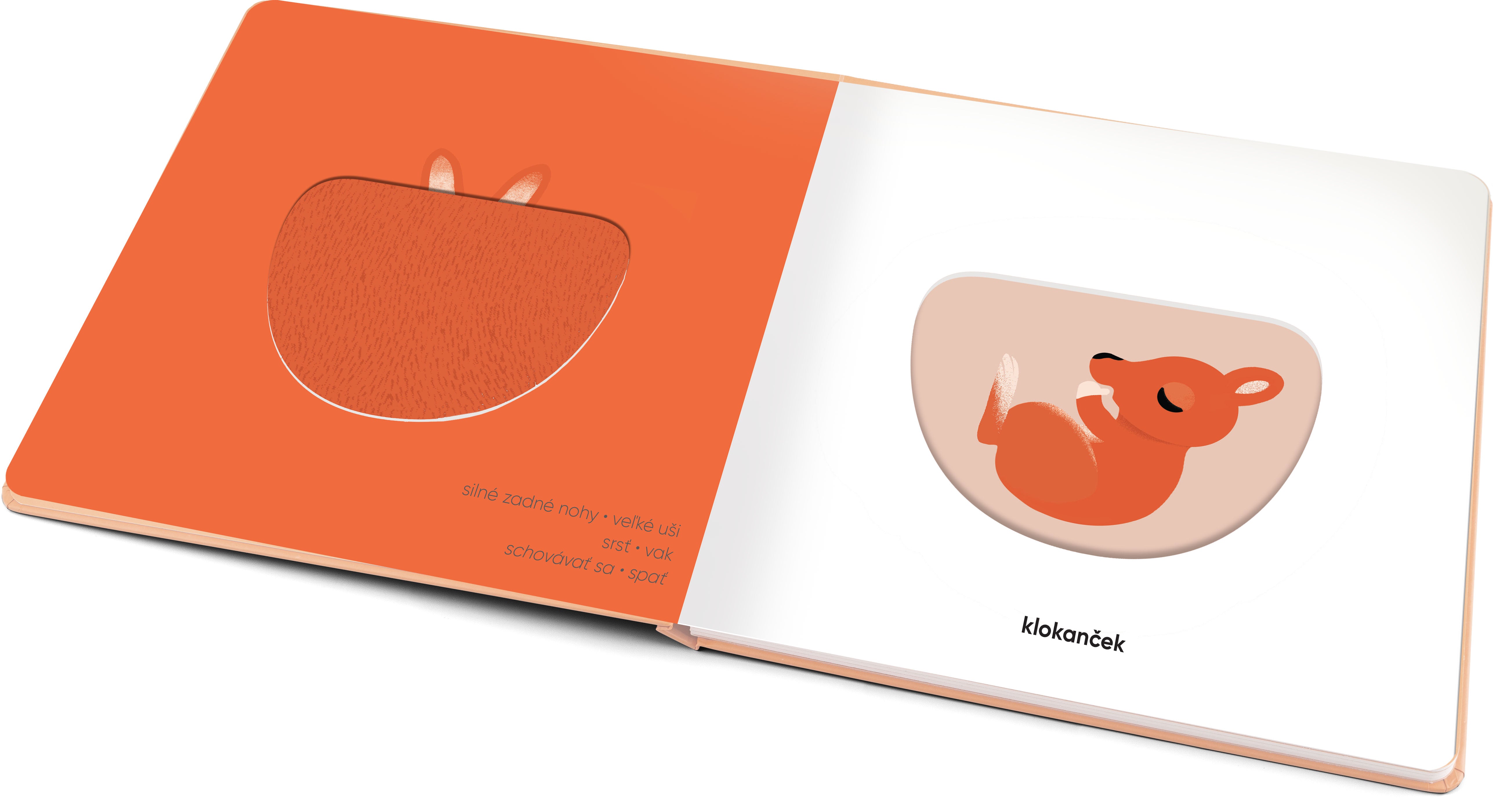 MOJE MLÁĎATKÁ – Klap klap obrázky