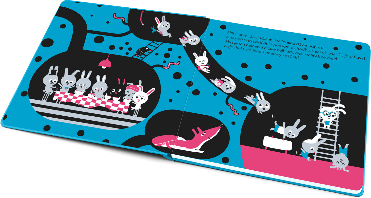 KDE JE KRÁLÍČEK MAX? – Pohlaď a najdi!