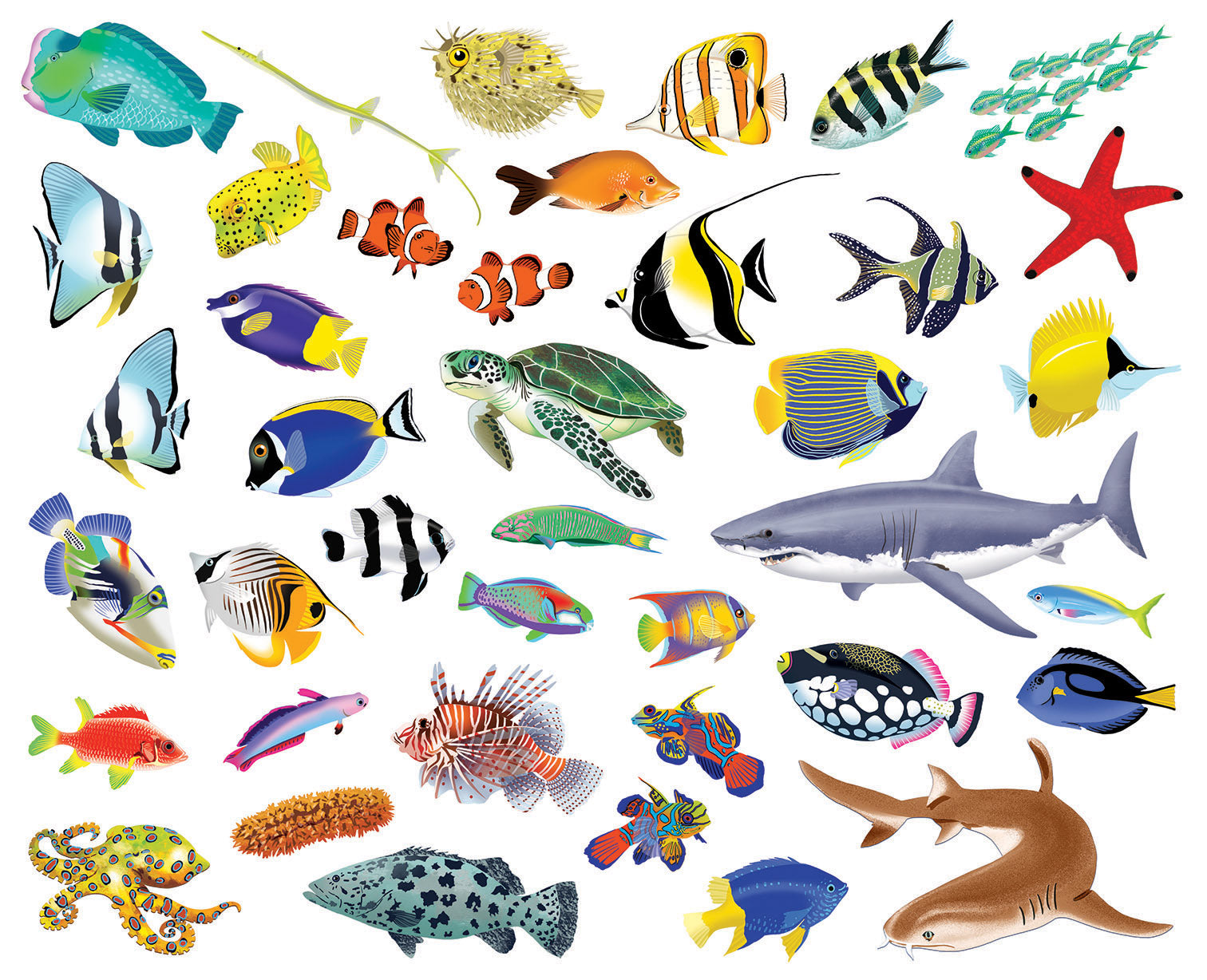 Čti a nalepuj – POD HLADINOU, kniha se samolepkami