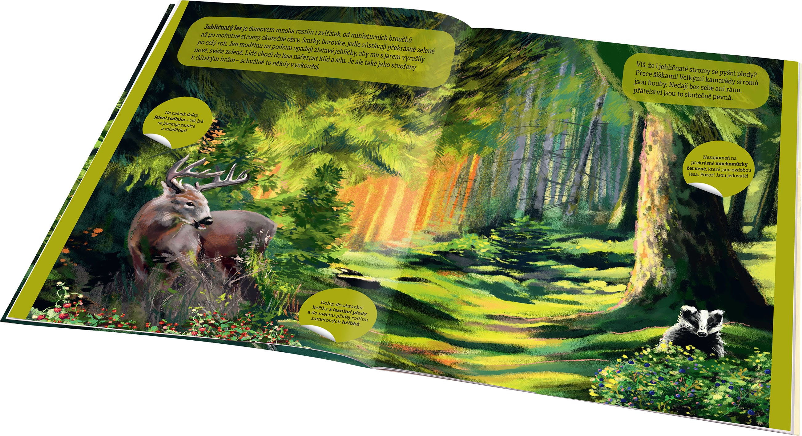 KOUZELNÝ SVĚT LESA – Kniha samolepek