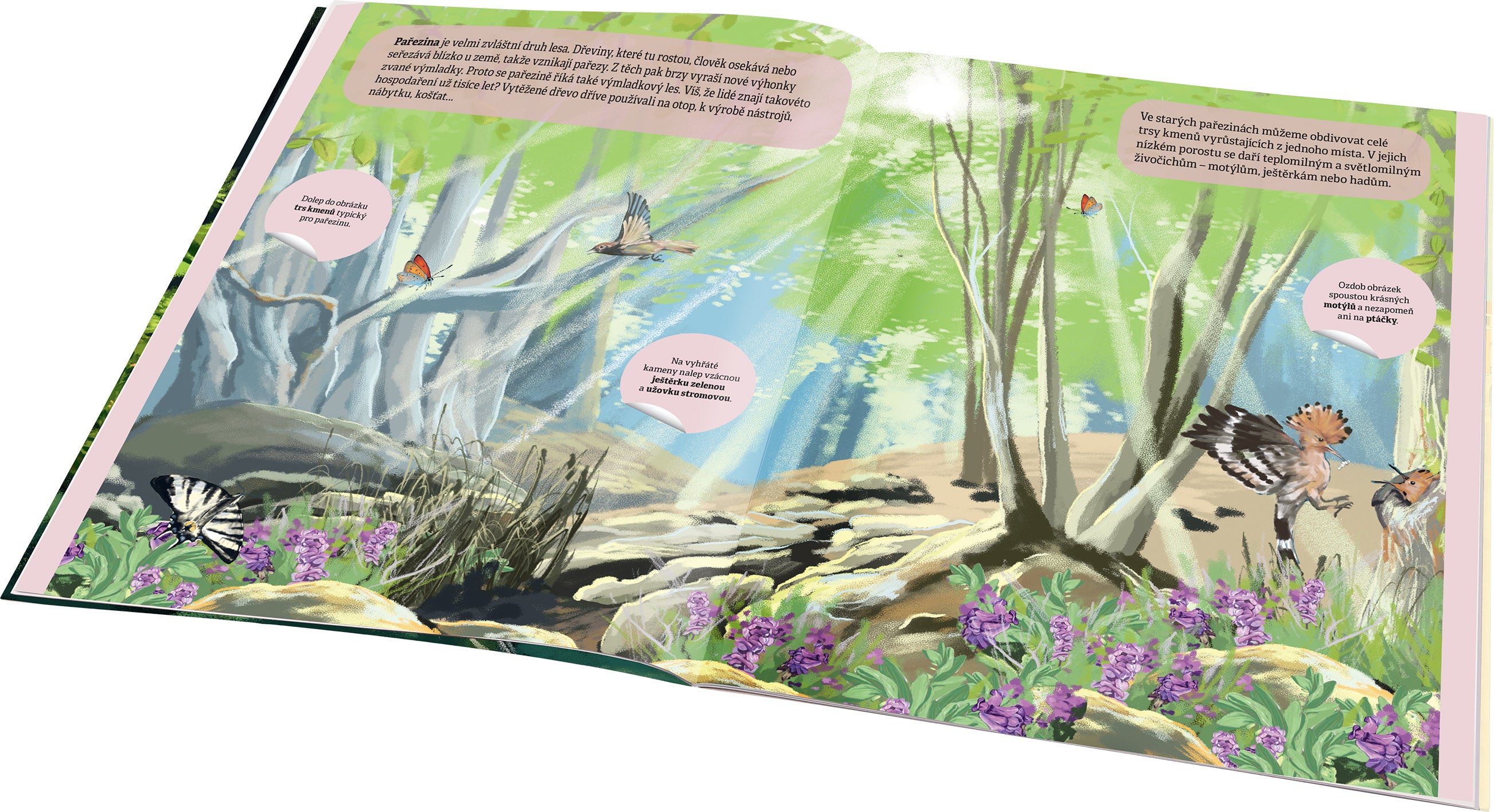 KOUZELNÝ SVĚT LESA – Kniha samolepek