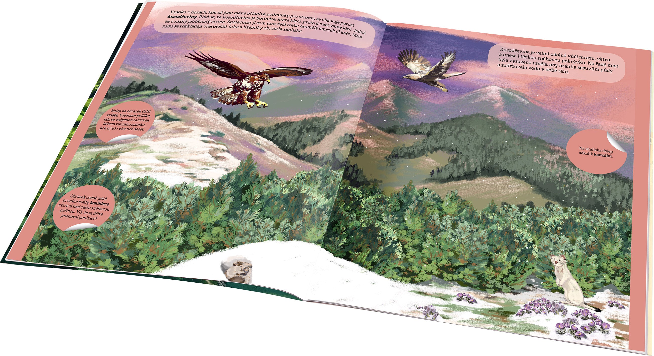 KOUZELNÝ SVĚT LESA – Kniha samolepek