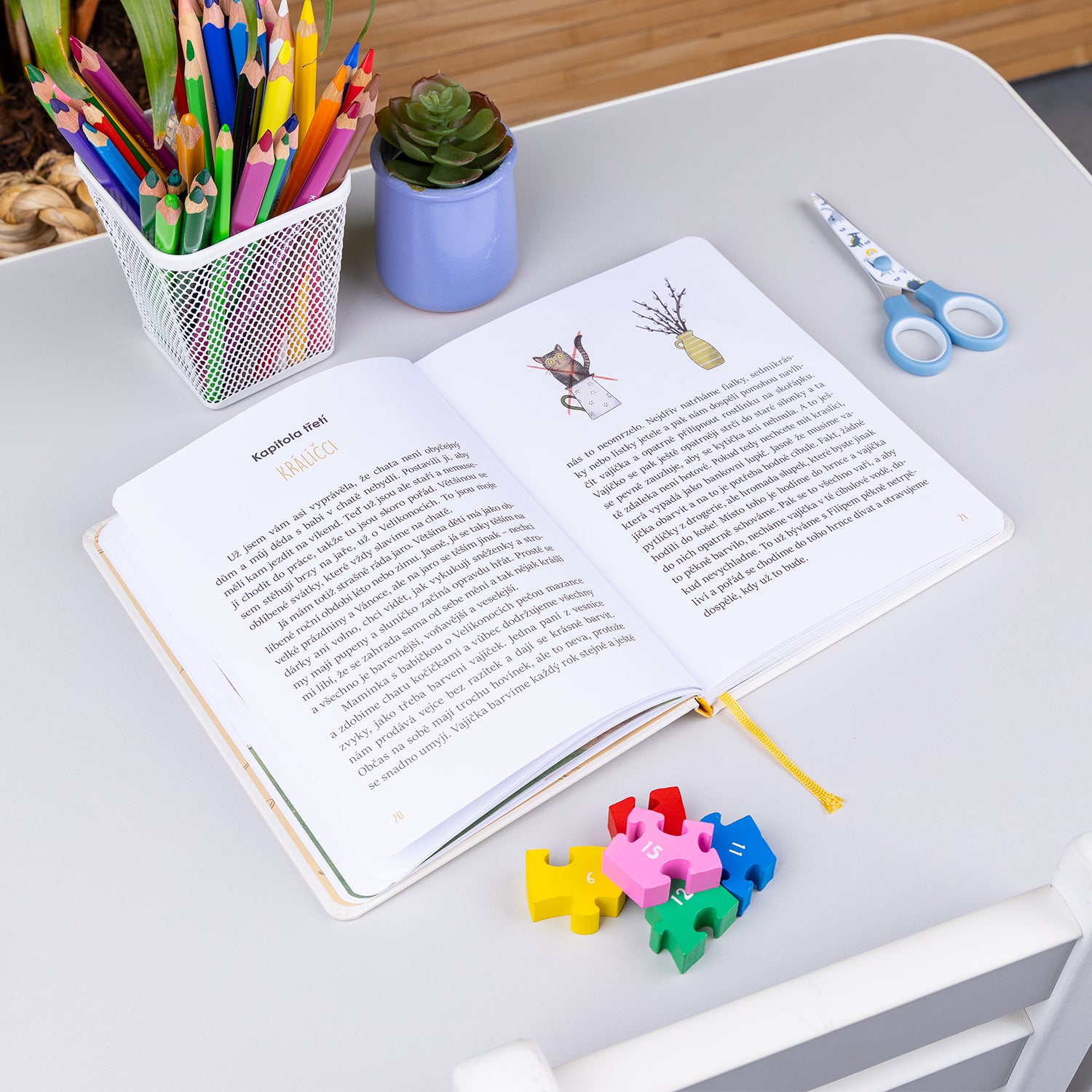 Druhé čtení  – BÁRA JEDE NA CHATU