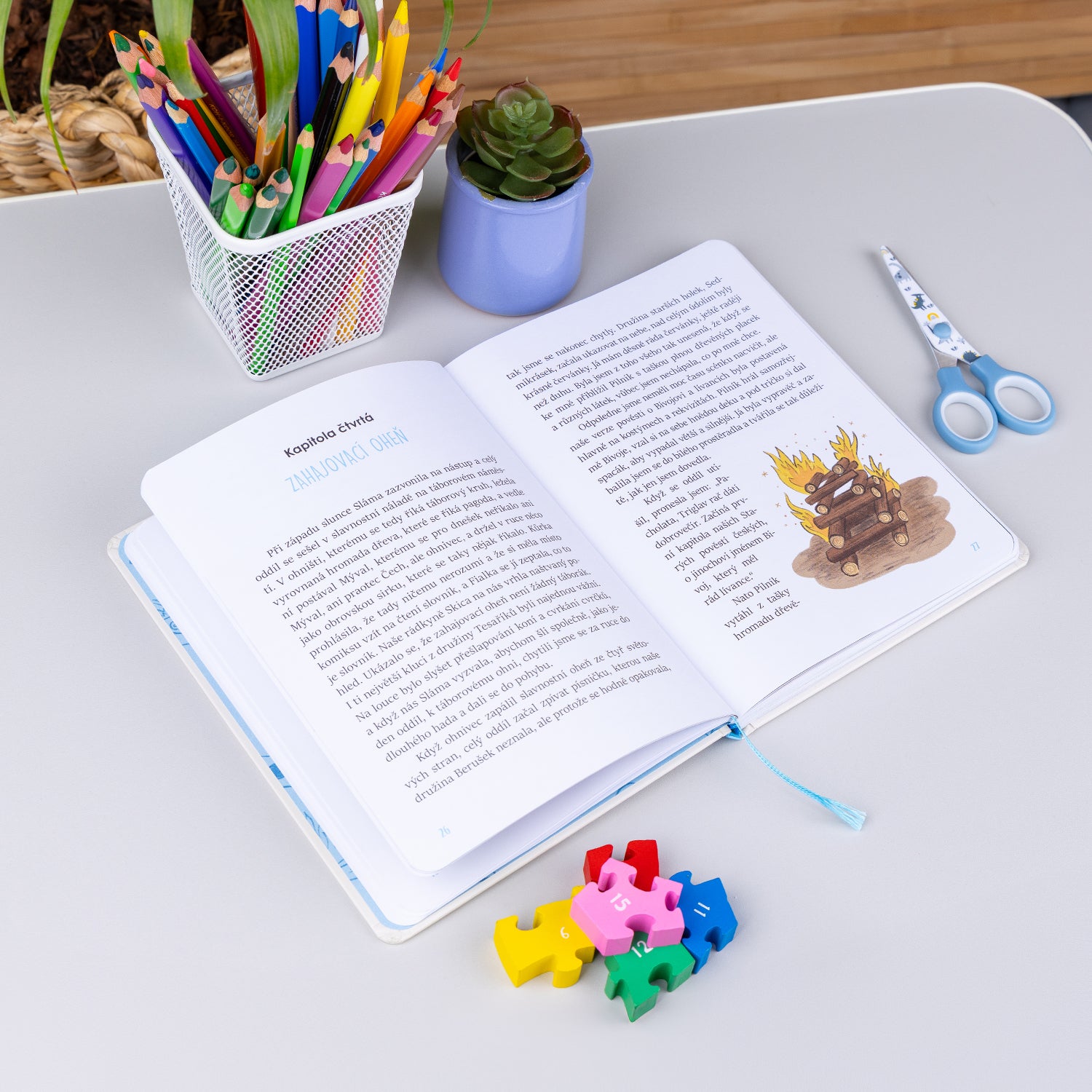 Druhé čtení  – BÁRA JEDE NA TÁBOR