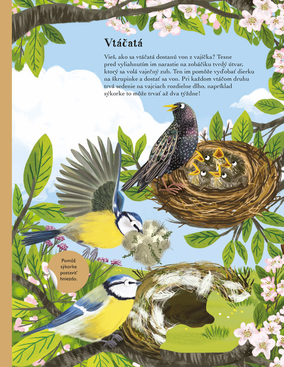 SVET SÝKORIEK, VRABCOV a ďalších spevavcov – Kniha samolepiek