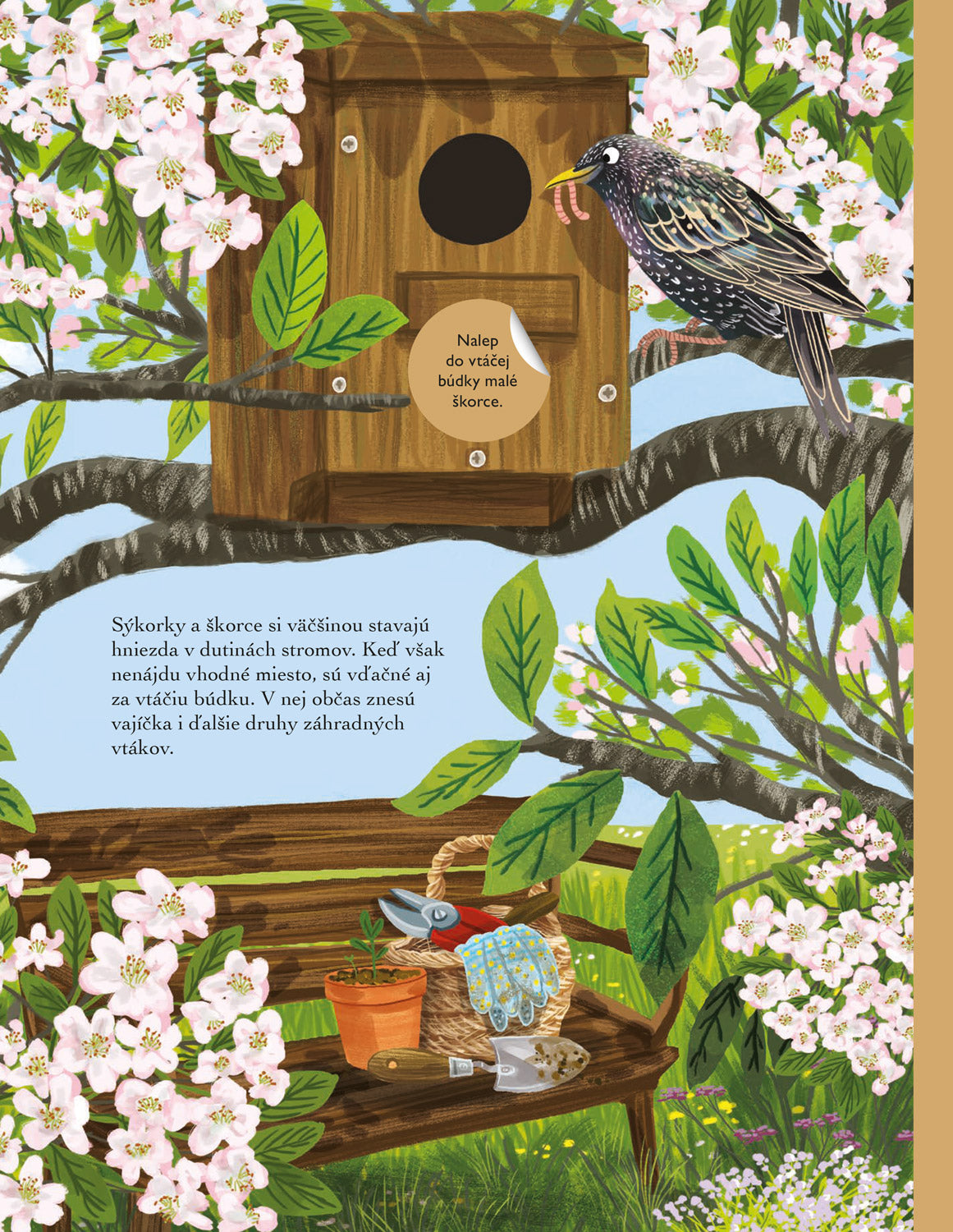 SVET SÝKORIEK, VRABCOV a ďalších spevavcov – Kniha samolepiek