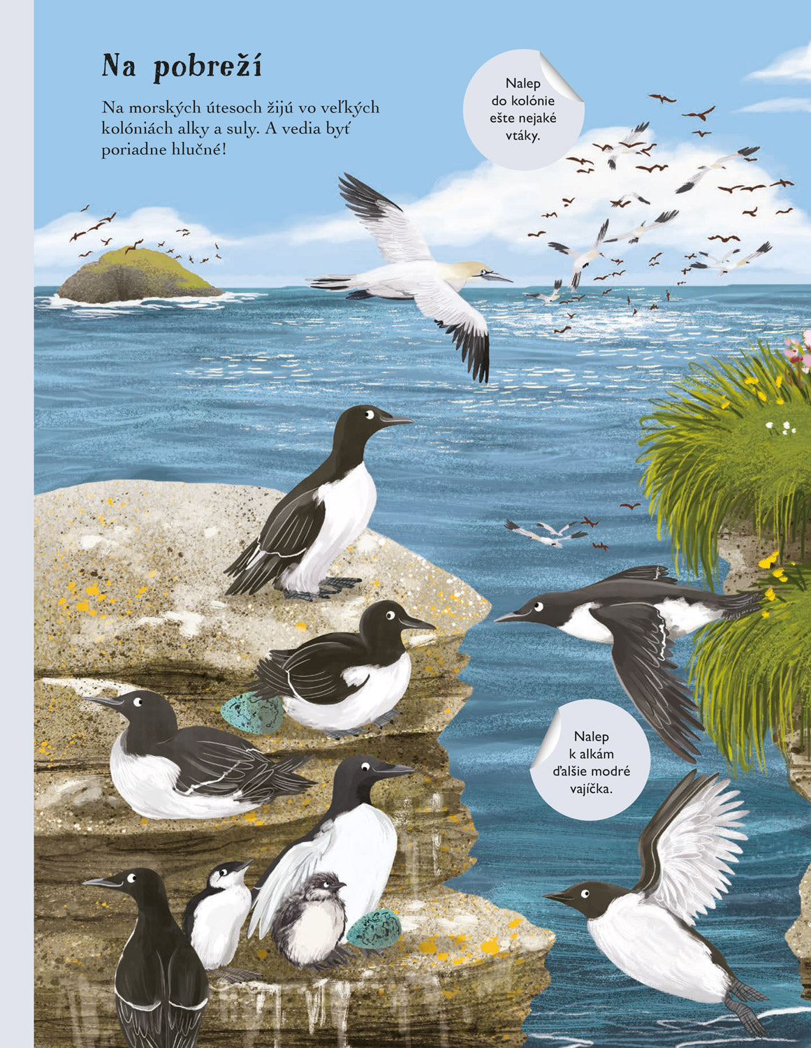 SVET SÝKORIEK, VRABCOV a ďalších spevavcov – Kniha samolepiek