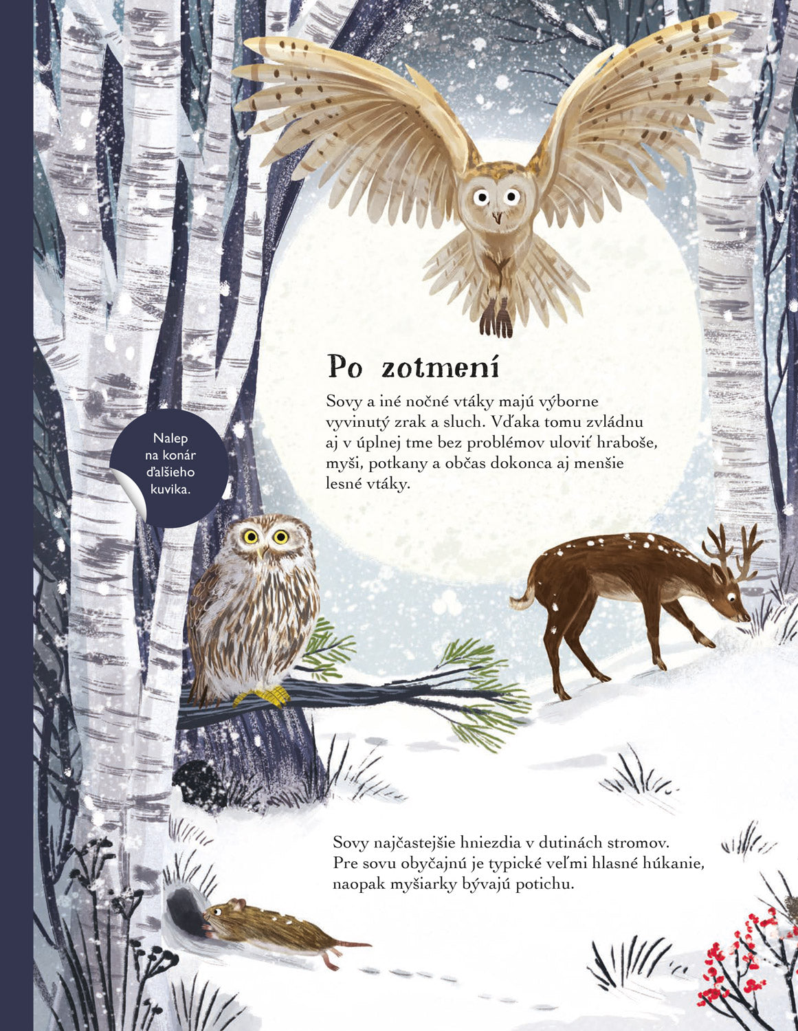 SVET SÝKORIEK, VRABCOV a ďalších spevavcov – Kniha samolepiek