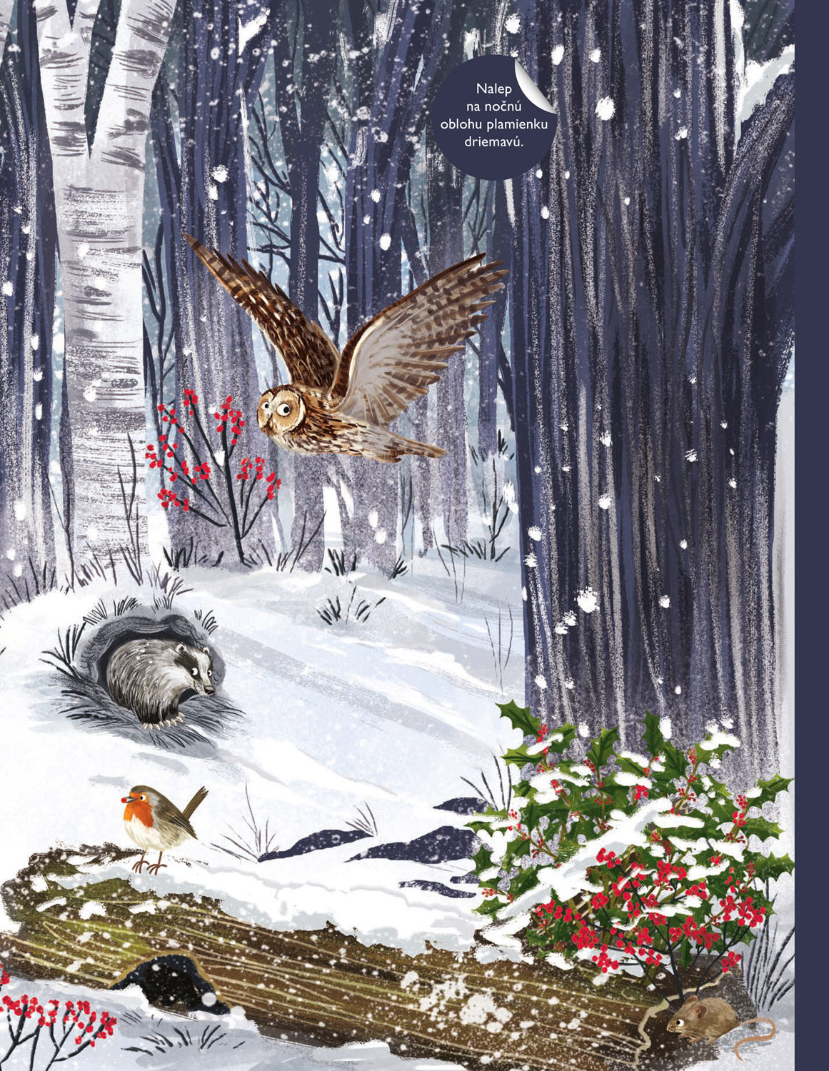 SVET SÝKORIEK, VRABCOV a ďalších spevavcov – Kniha samolepiek