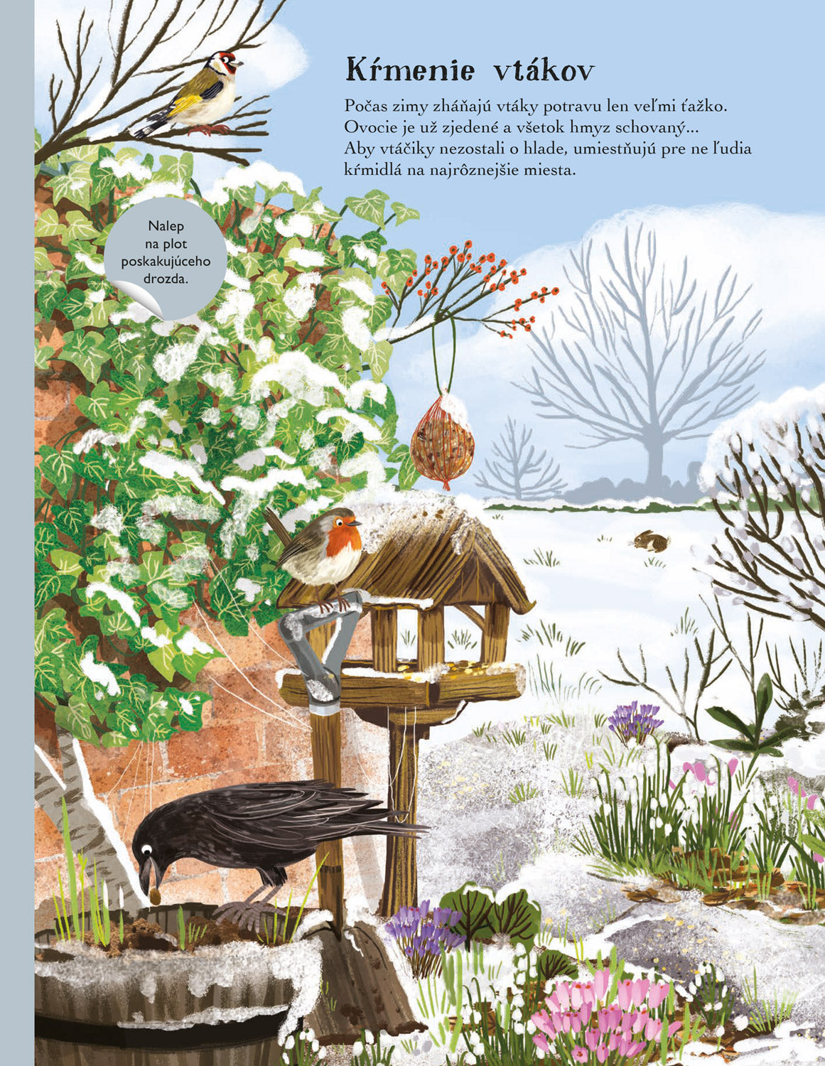 SVET SÝKORIEK, VRABCOV a ďalších spevavcov – Kniha samolepiek