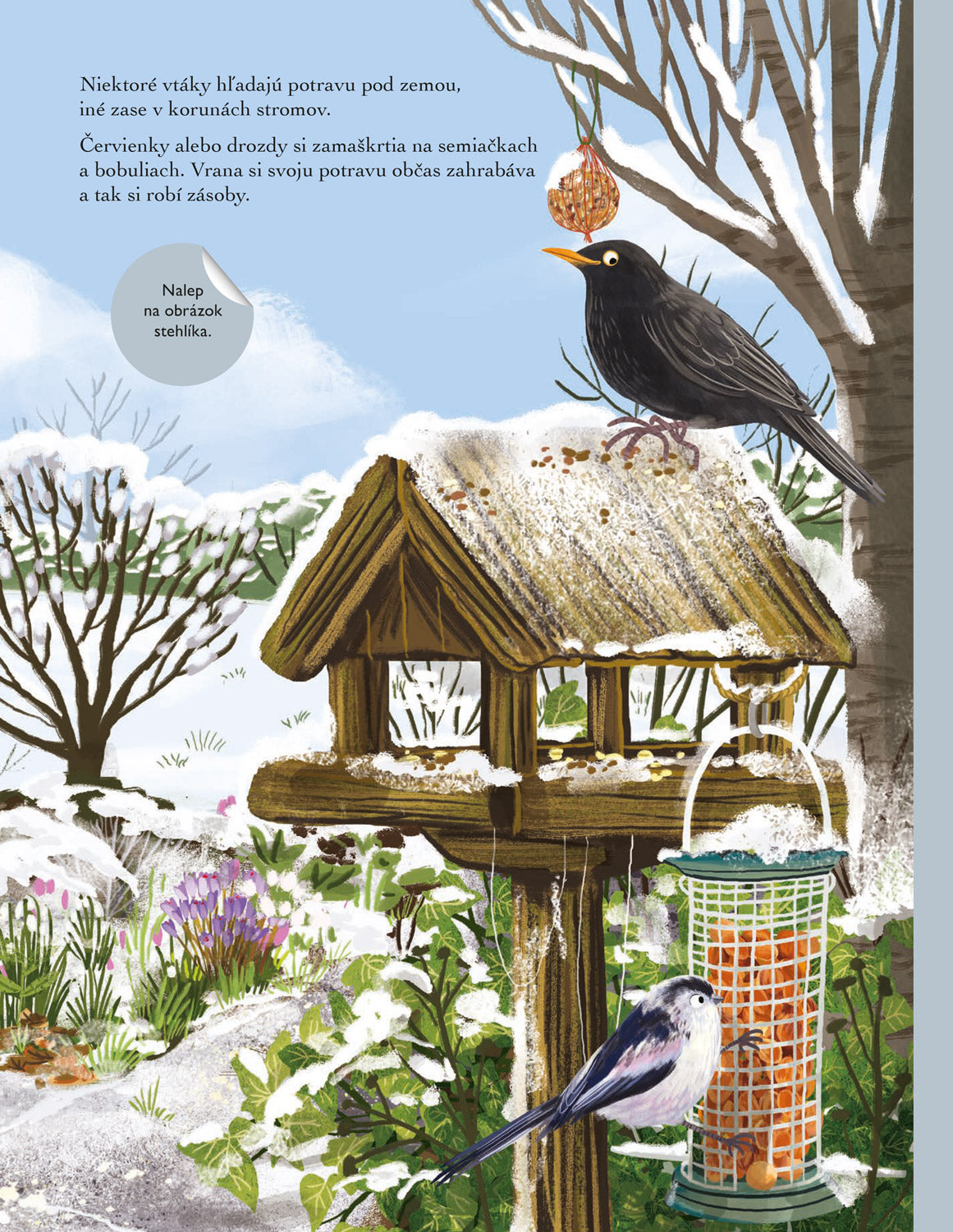 SVET SÝKORIEK, VRABCOV a ďalších spevavcov – Kniha samolepiek