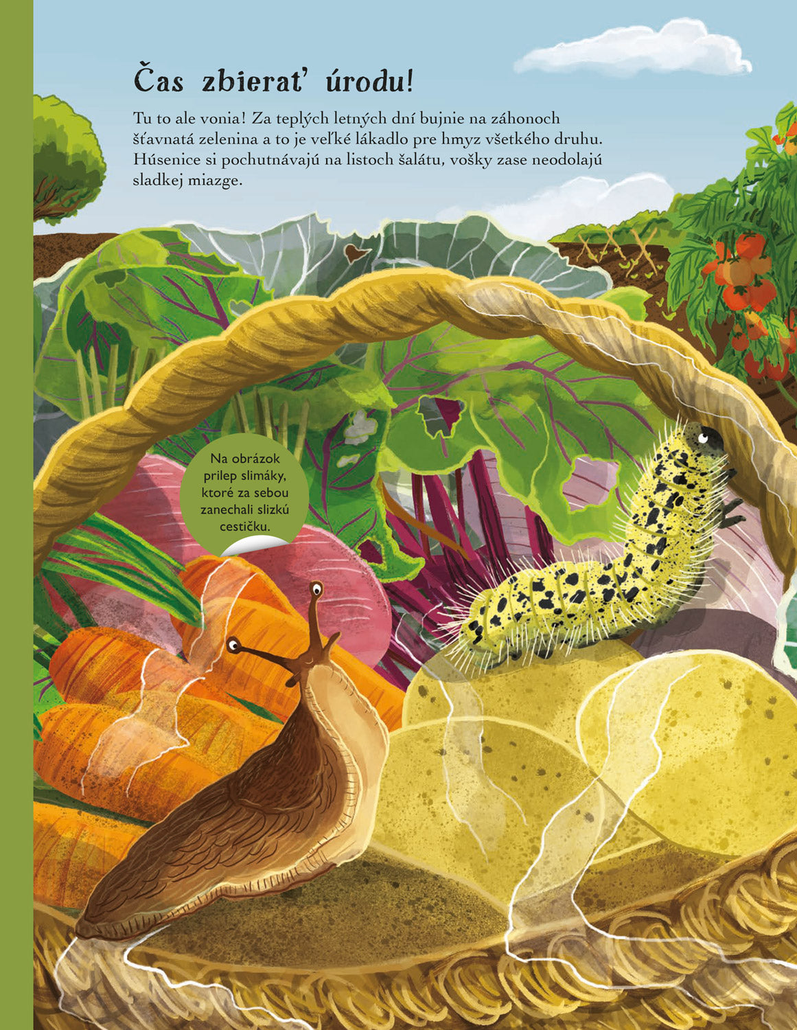 SVET CHROBÁKOV, MOTÝĽOV a ďalších potvoriek – Kniha samolepiek