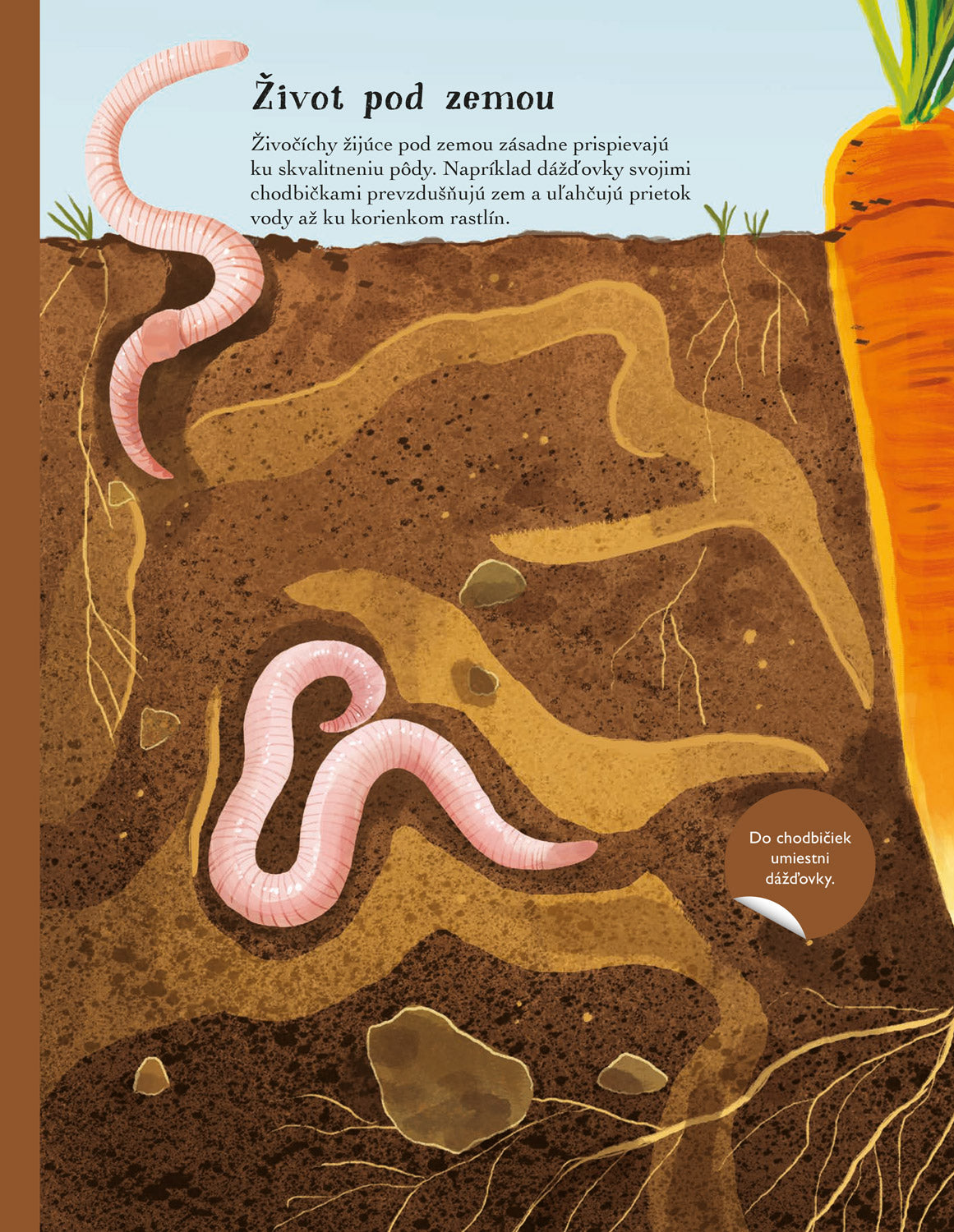 SVET CHROBÁKOV, MOTÝĽOV a ďalších potvoriek – Kniha samolepiek