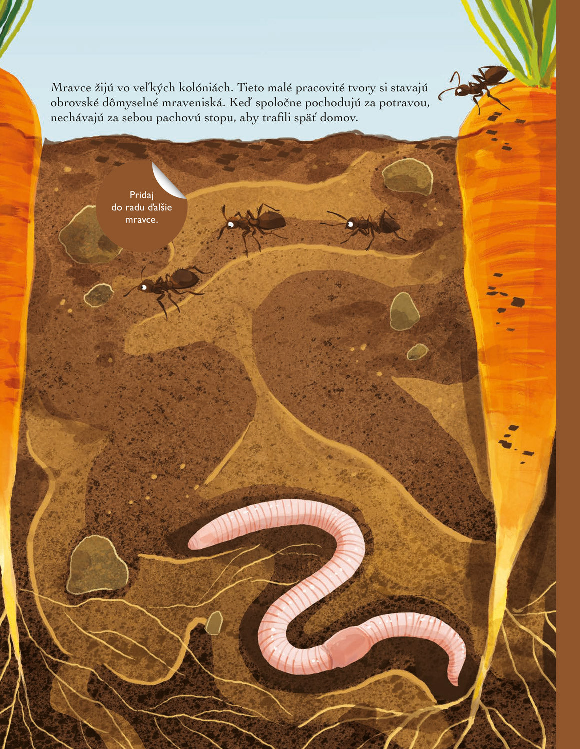 SVET CHROBÁKOV, MOTÝĽOV a ďalších potvoriek – Kniha samolepiek