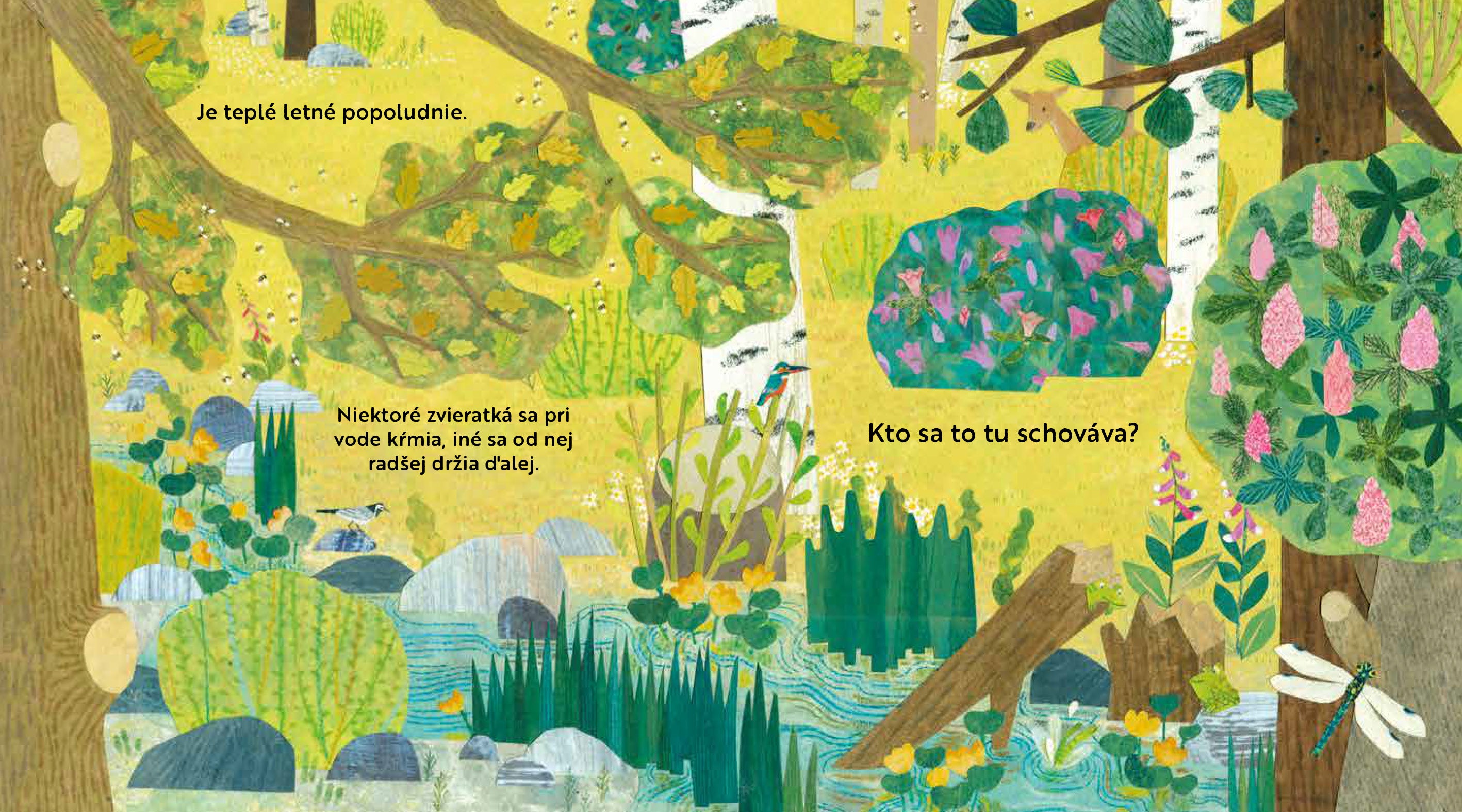 Kto sa to tu schováva? V LESE  – Knižka s odklápacími okienkami