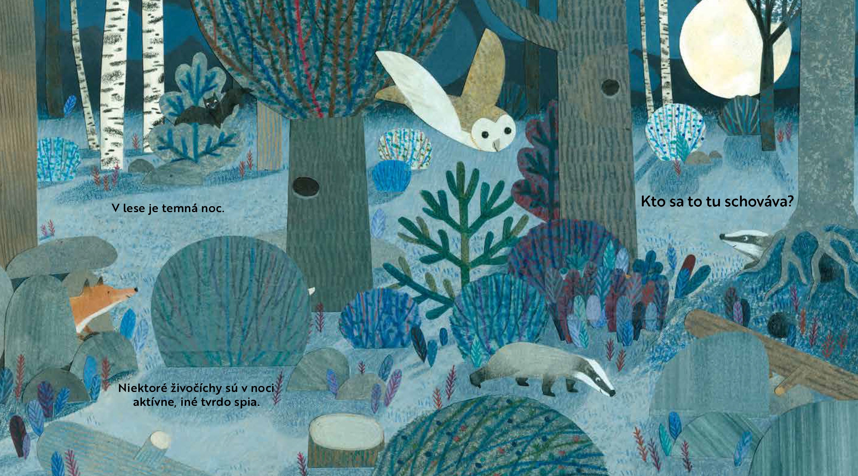 Kto sa to tu schováva? V LESE  – Knižka s odklápacími okienkami
