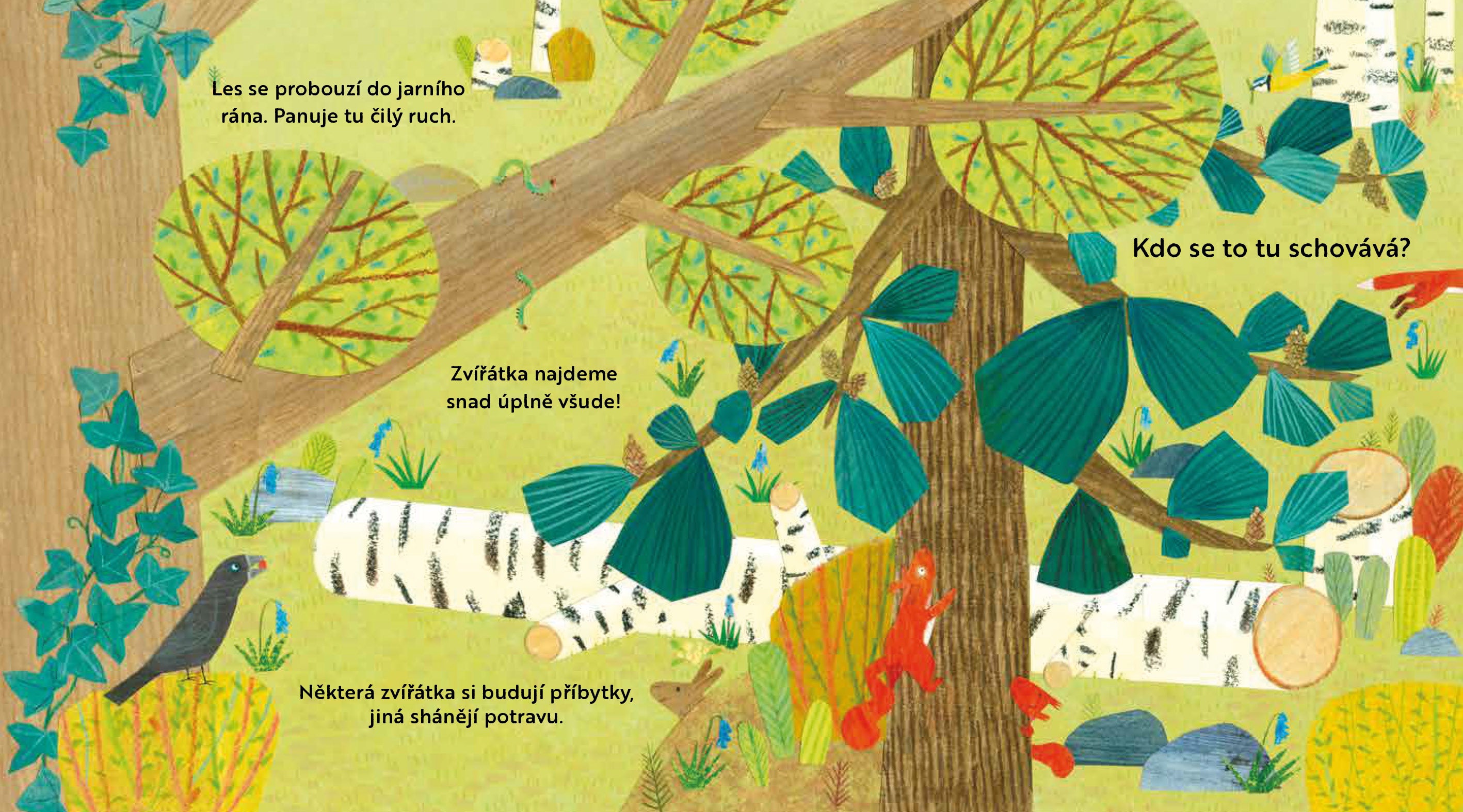 Kdo se to tu schovává? V LESE – Knížka s odklápěcími okénky