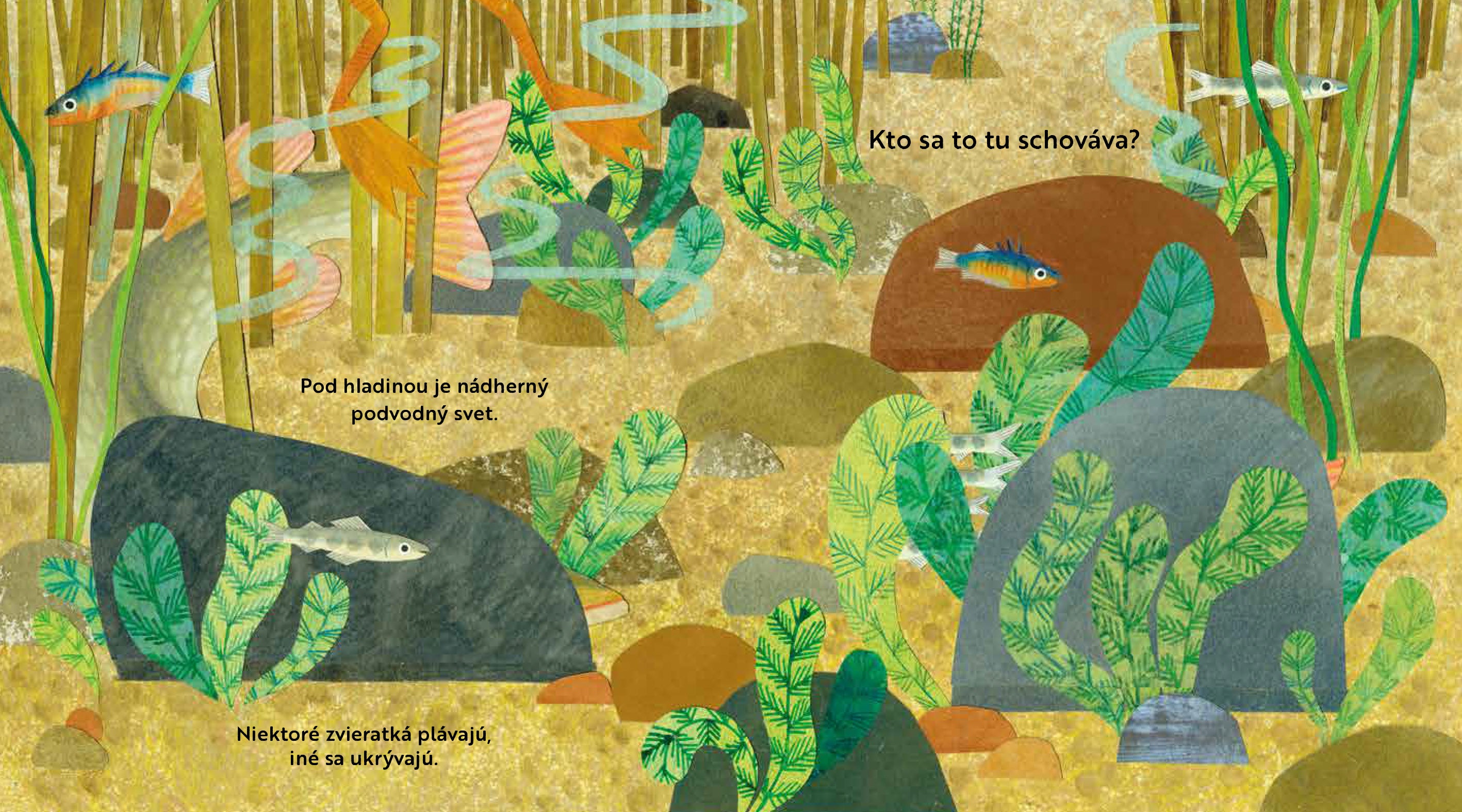 Kto sa to tu schováva? PRI RIEKE – Knižka s odklápacími okienkami
