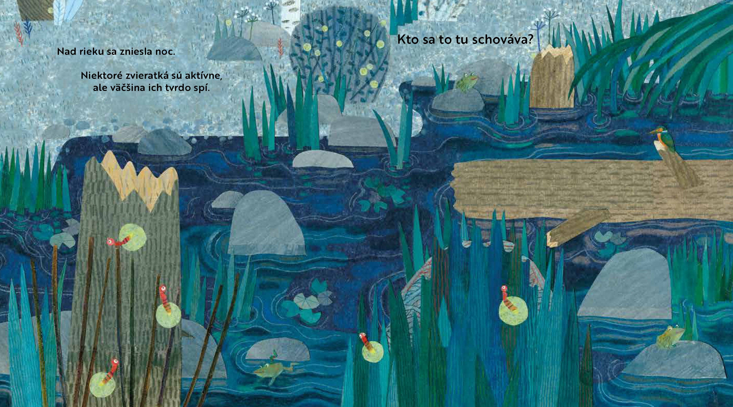 Kto sa to tu schováva? PRI RIEKE – Knižka s odklápacími okienkami
