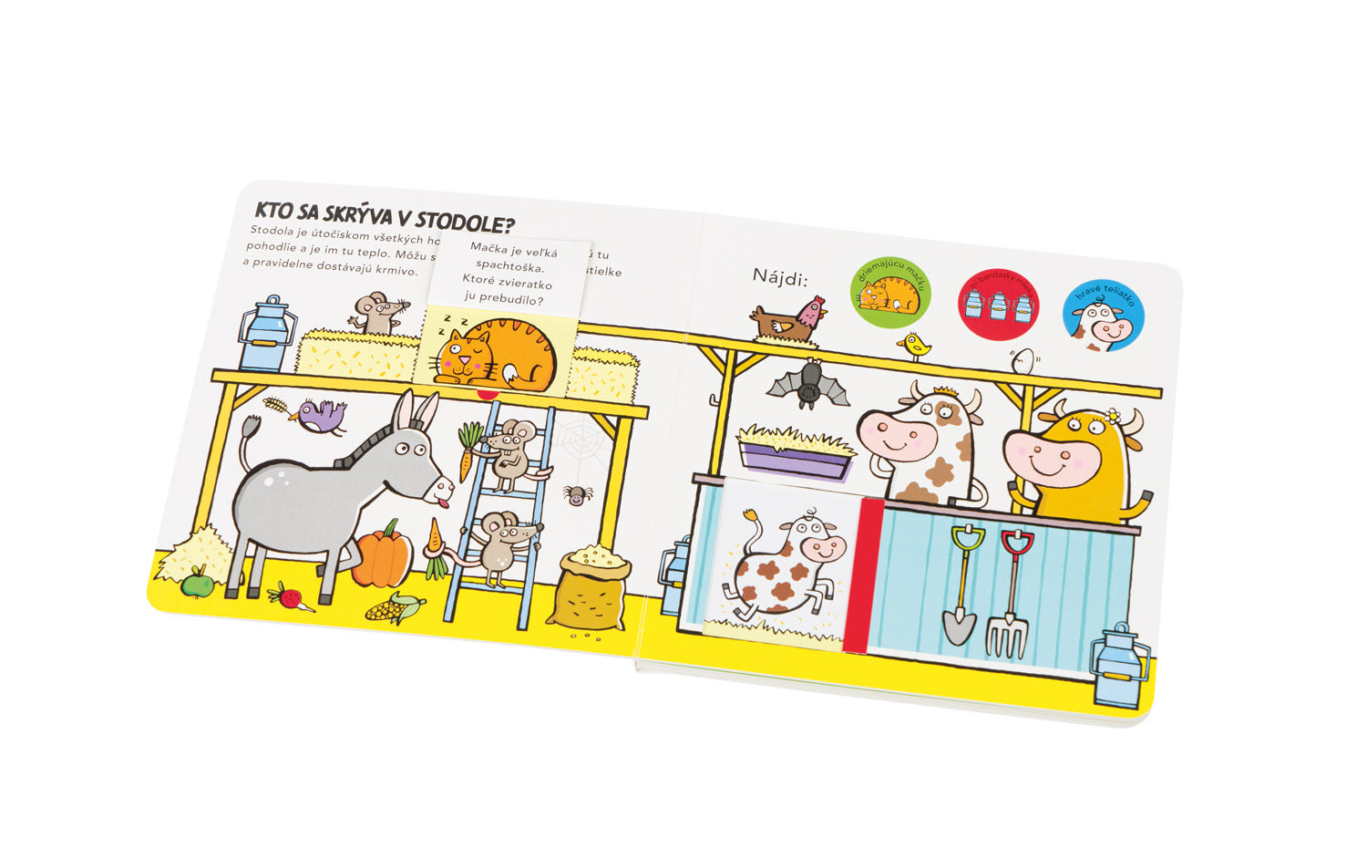 Kam sa schovali ZVIERATKÁ NA DVORE – Hádanky pre najmenších
