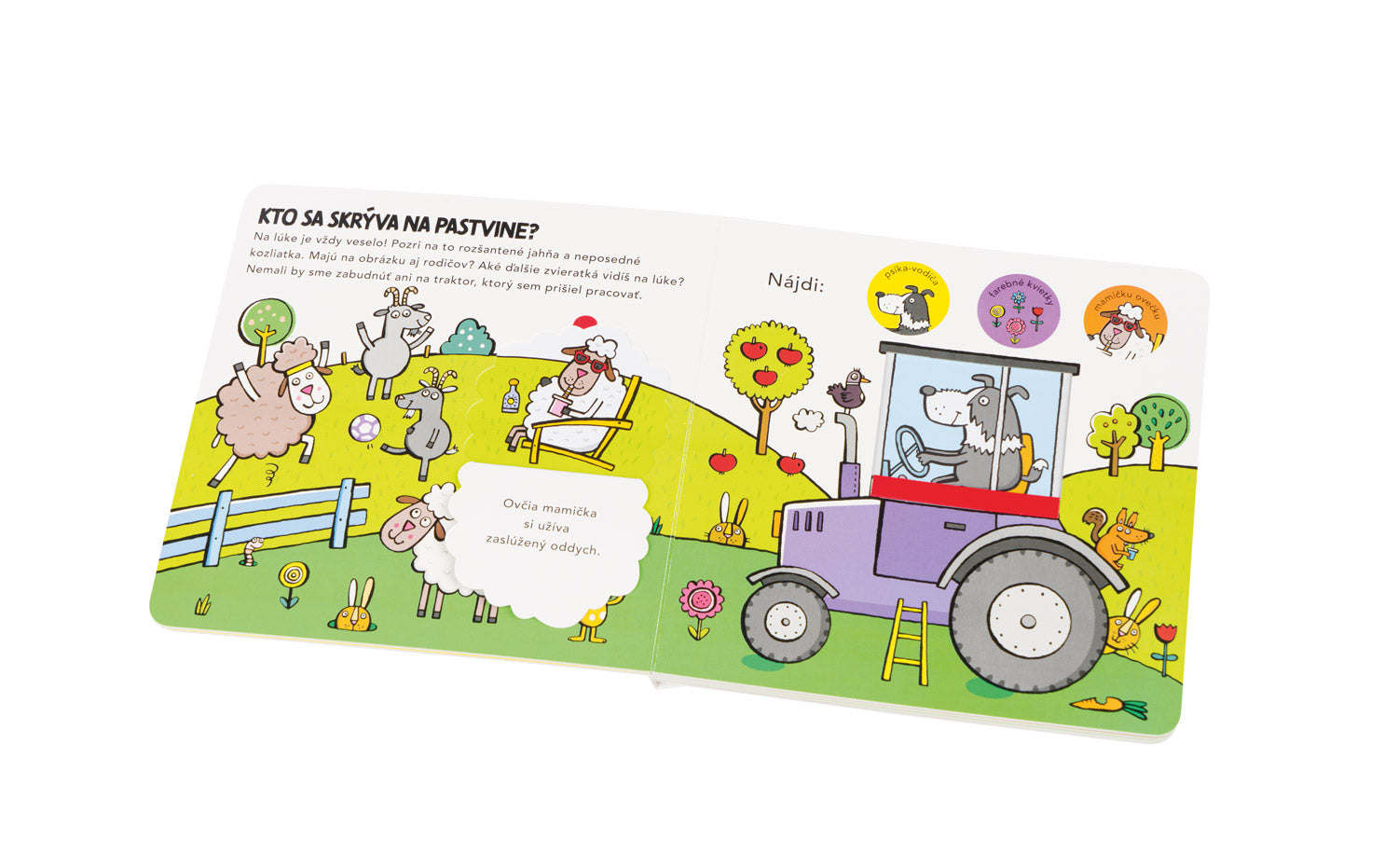 Kam sa schovali ZVIERATKÁ NA DVORE – Hádanky pre najmenších