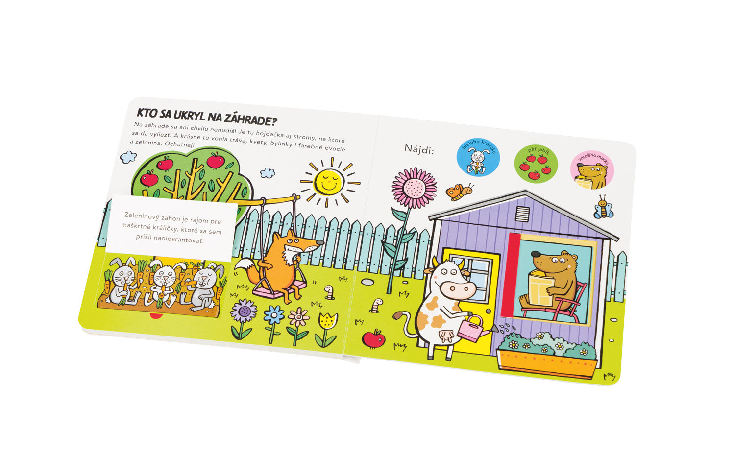 Kam sa schovali ZVIERATKÁ V DOME – Hádanky pre najmenších