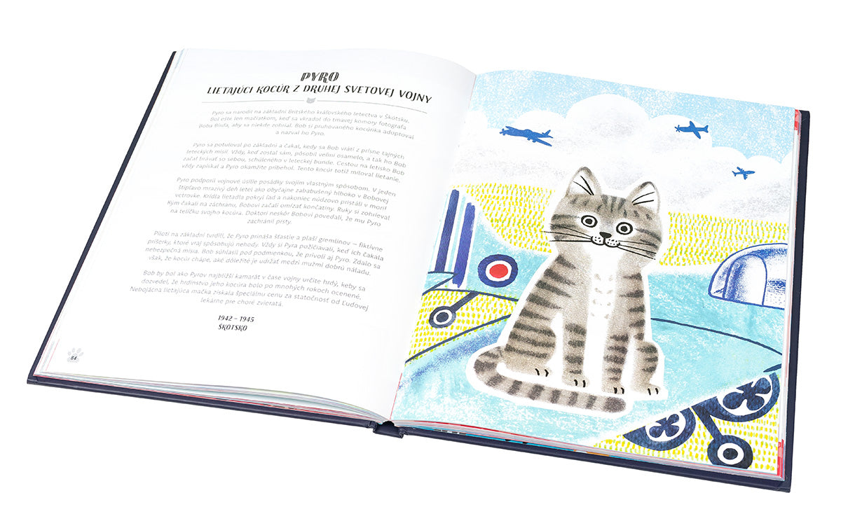 MAČKY V AKCII! – Neuveriteľné mačacie príbehy