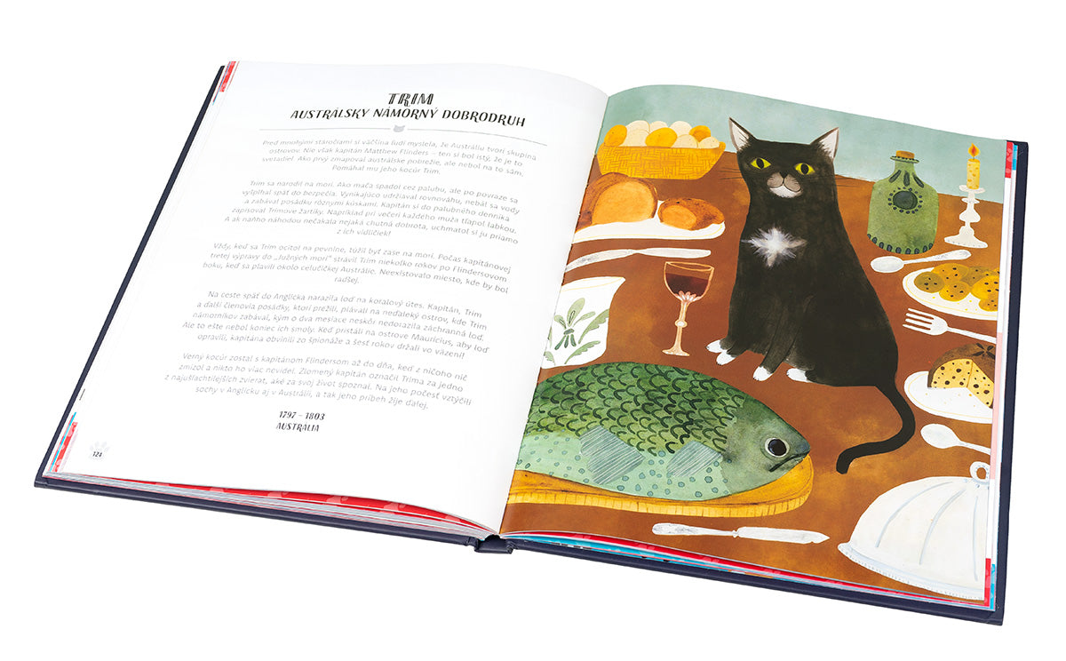 MAČKY V AKCII! – Neuveriteľné mačacie príbehy