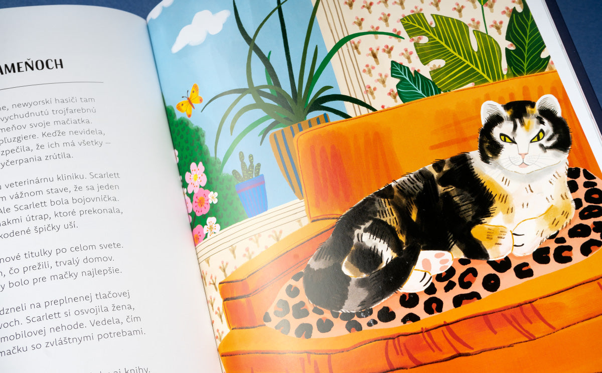 MAČKY V AKCII! – Neuveriteľné mačacie príbehy