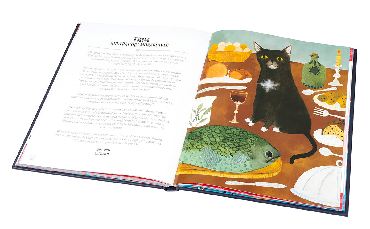 KOČKY V AKCI! – Neuvěřitelné kočičí příběhy