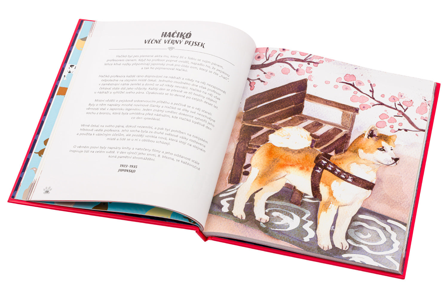 PSI V AKCI! – Neuvěřitelné psí příběhy