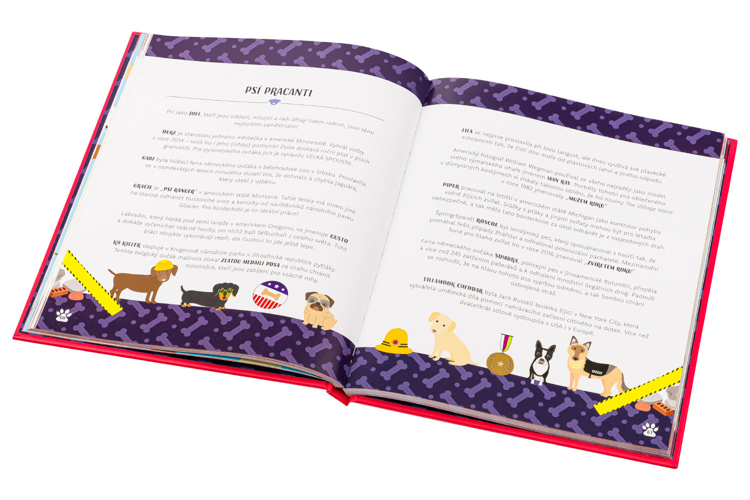 PSI V AKCI! – Neuvěřitelné psí příběhy