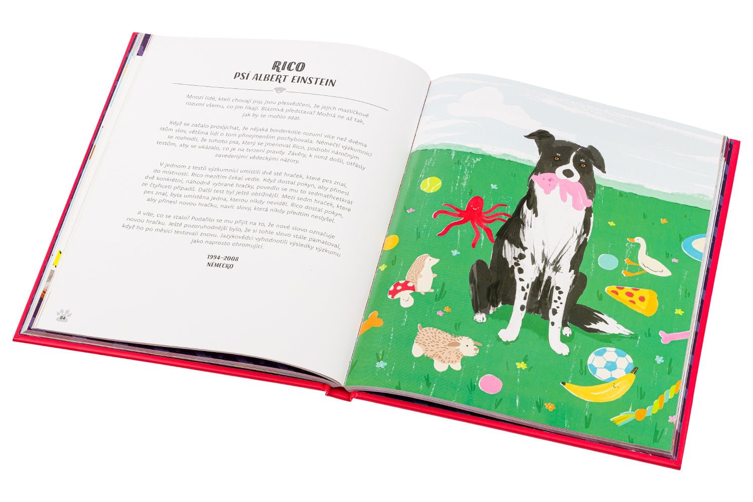 PSI V AKCI! – Neuvěřitelné psí příběhy