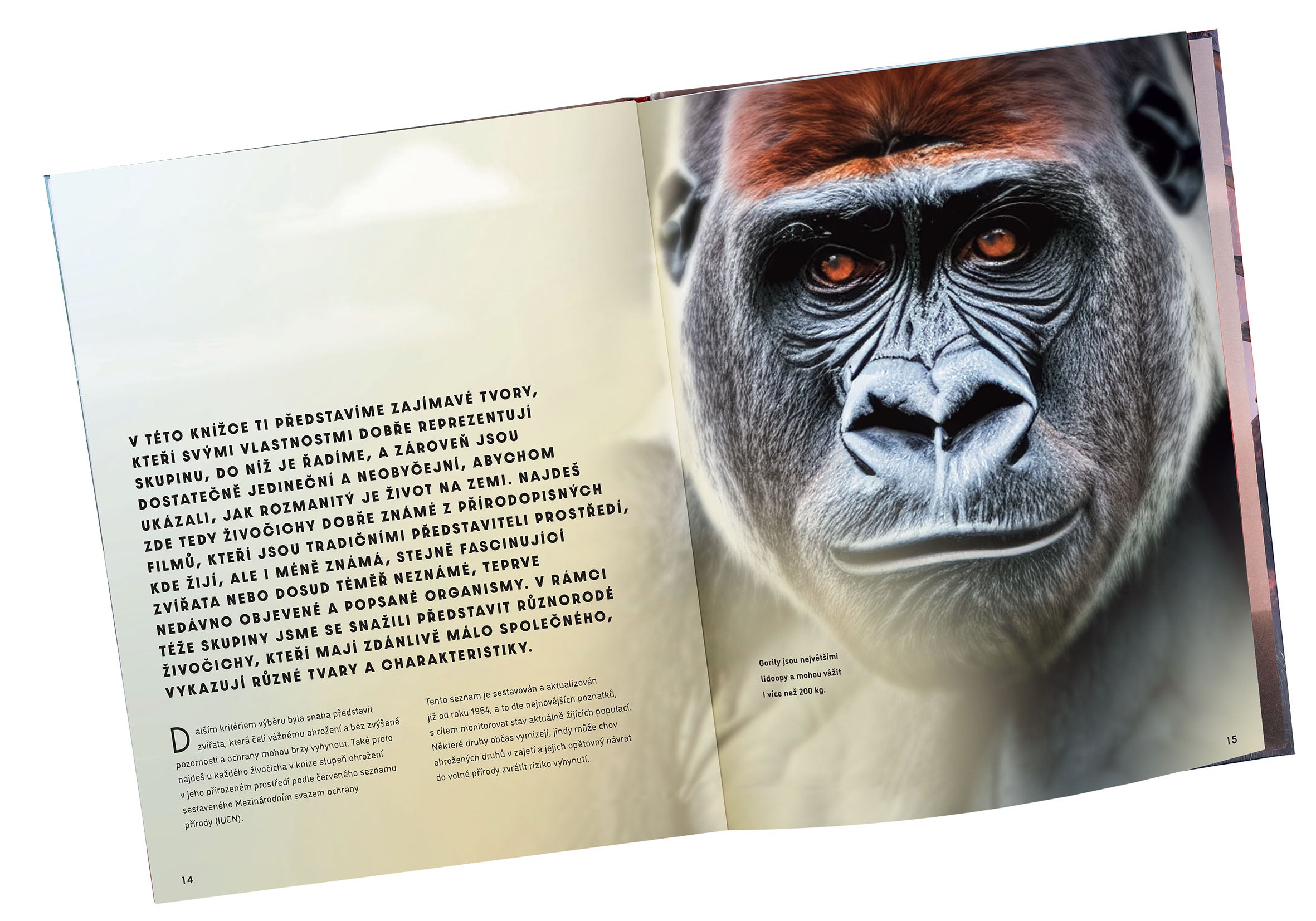 Velký obrazový průvodce ZVÍŘATA