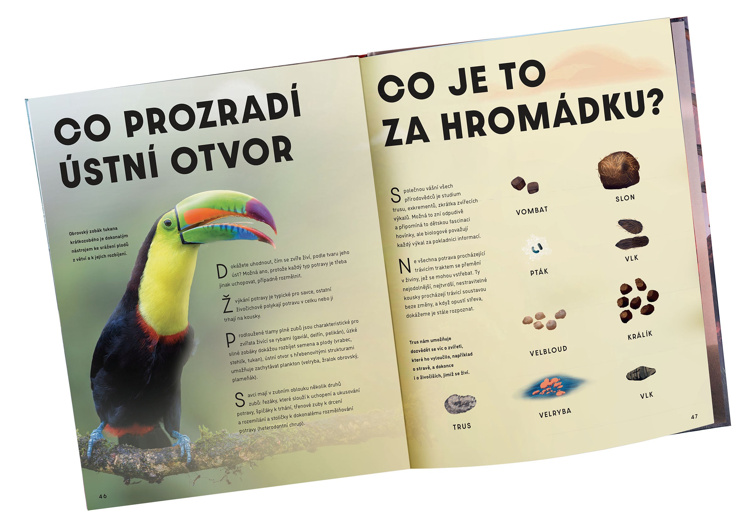 Velký obrazový průvodce ZVÍŘATA