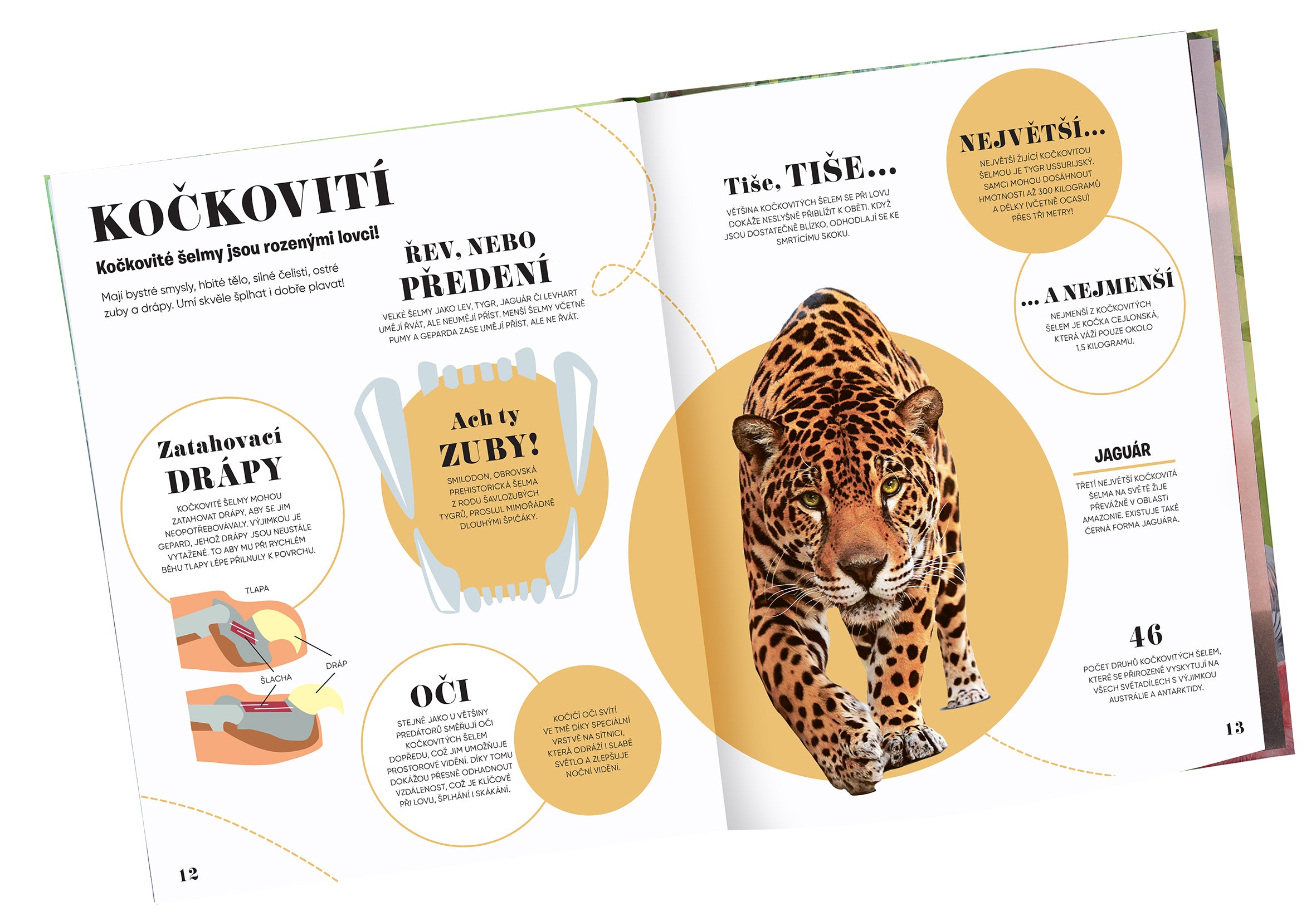 5 MINUT A VÍM: PŘÍRODA – 1000+ základních informací