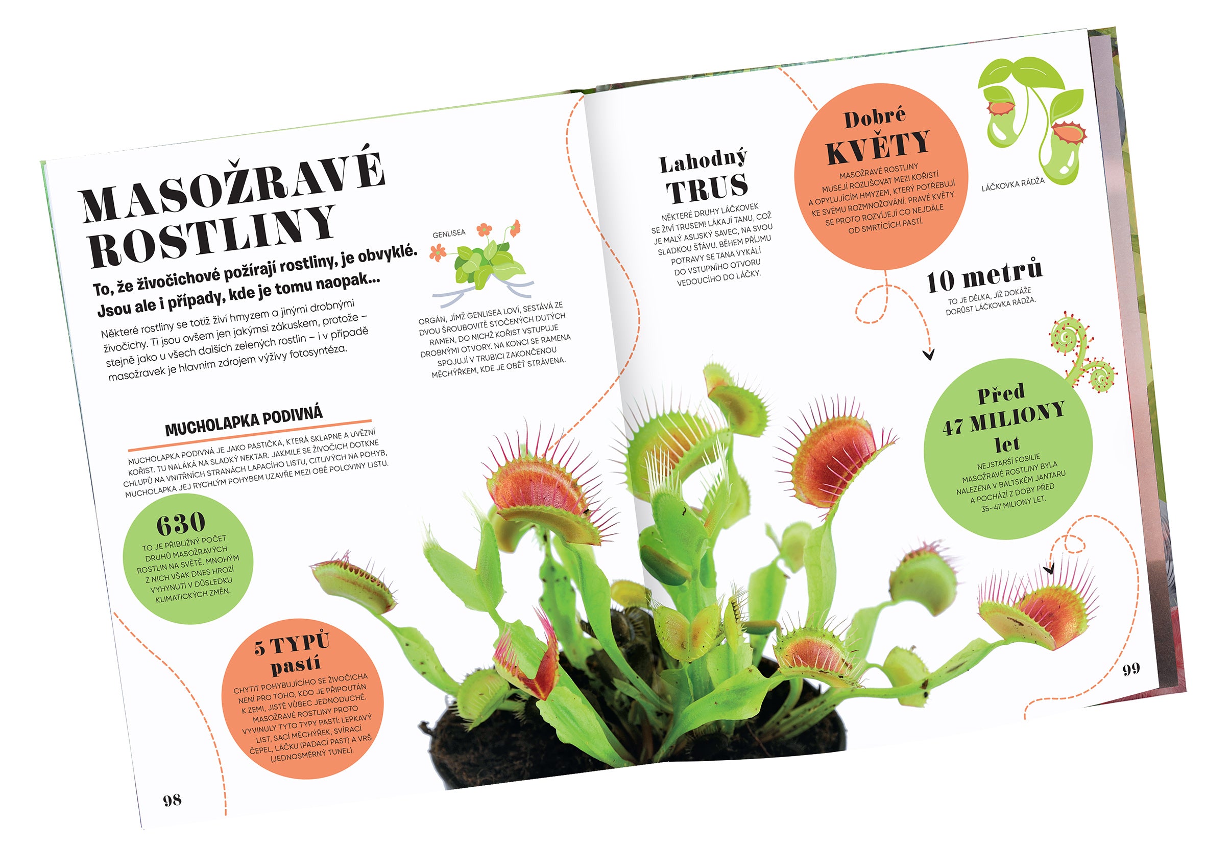 5 MINUT A VÍM: PŘÍRODA – 1000+ základních informací