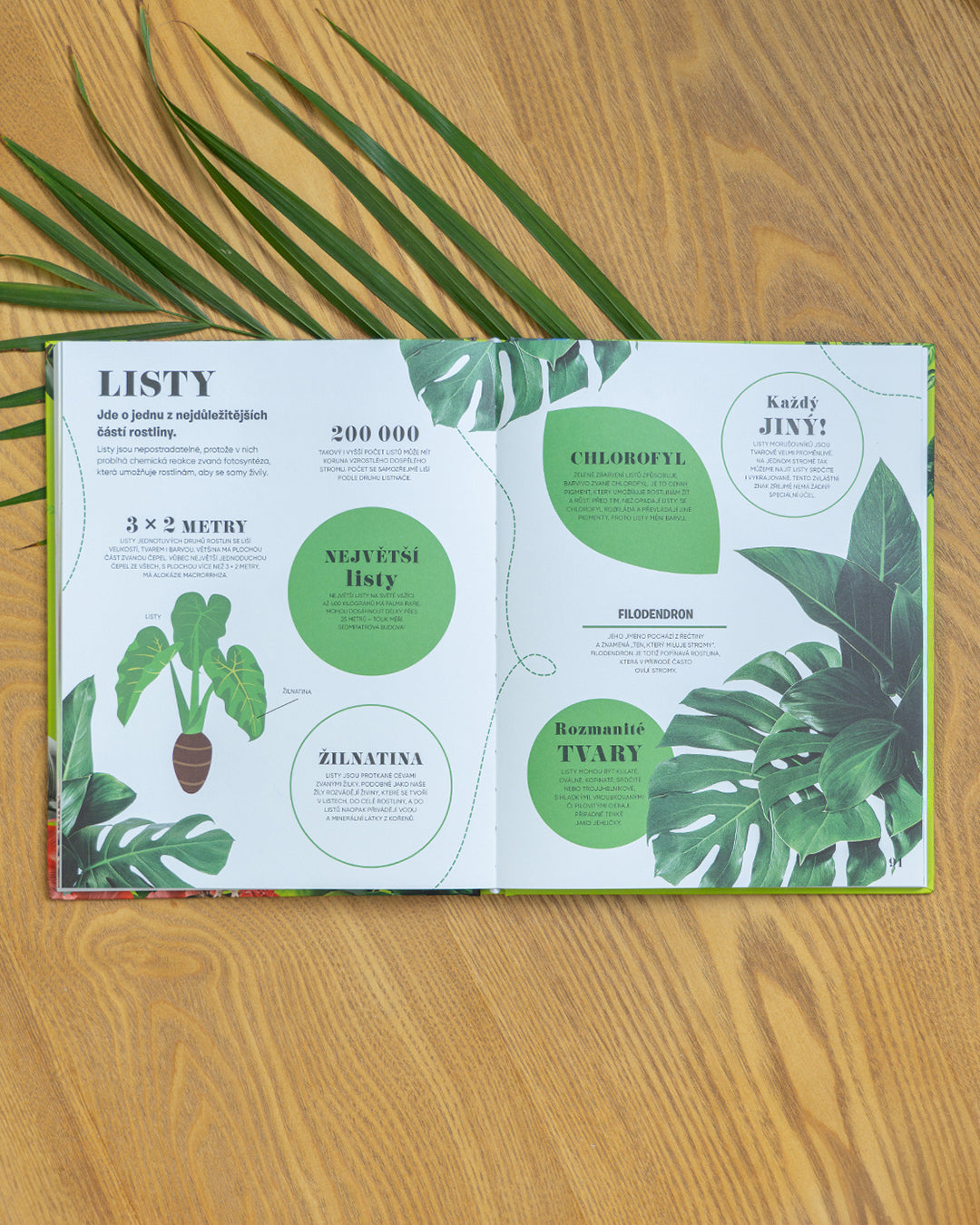 5 MINUT A VÍM: PŘÍRODA – 1000+ základních informací