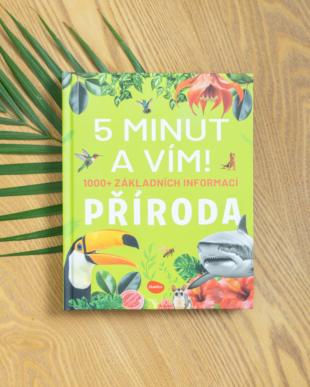 5 MINUT A VÍM: PŘÍRODA – 1000+ základních informací