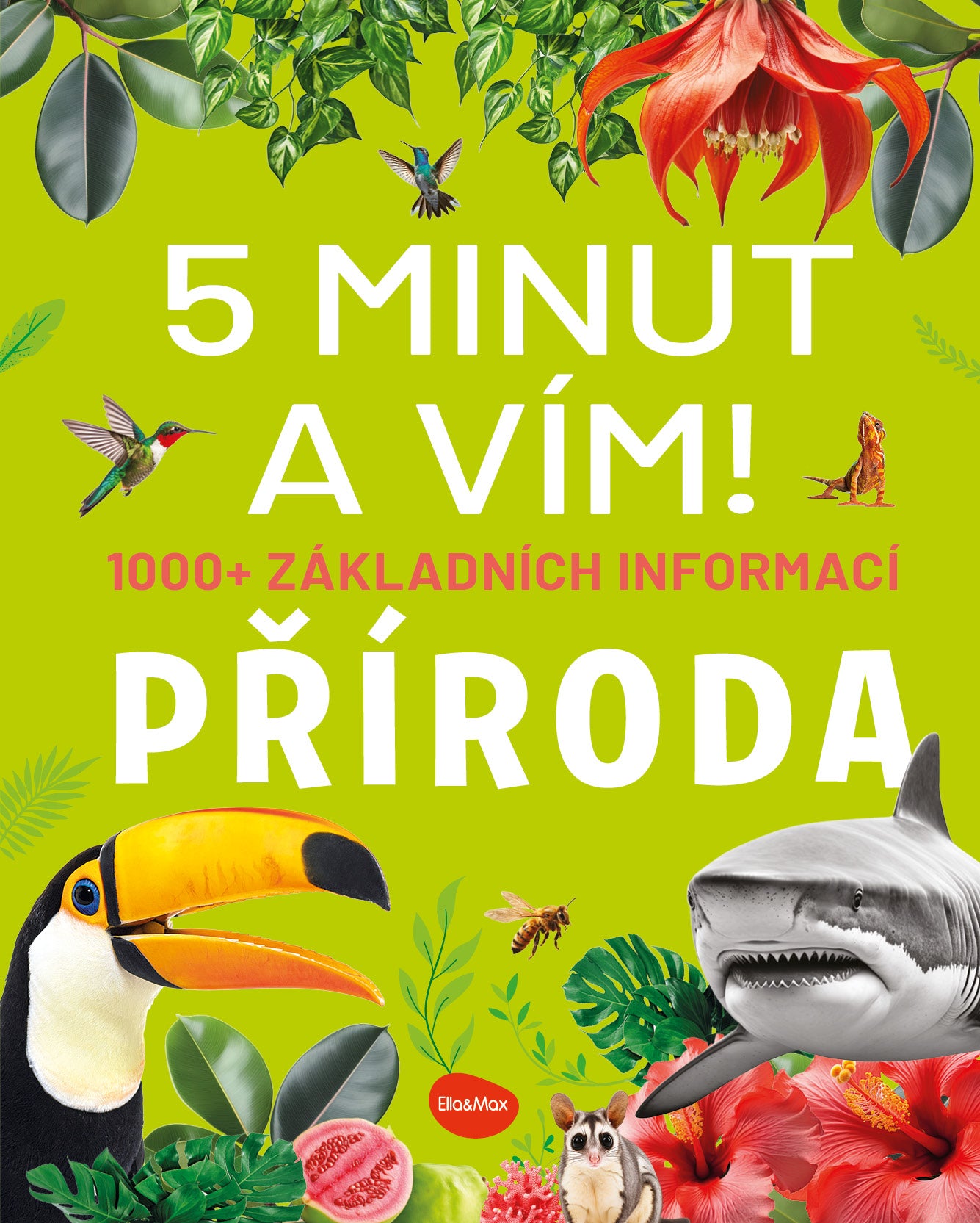 5 MINUT A VÍM: PŘÍRODA – 1000+ základních informací