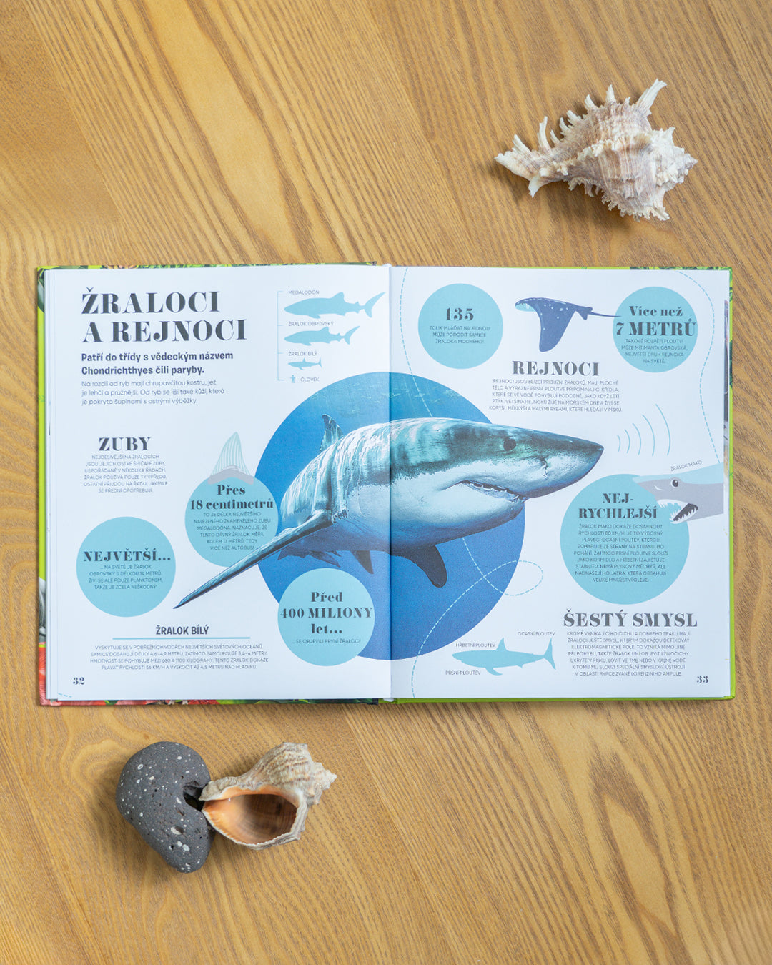 5 MINUT A VÍM: PŘÍRODA – 1000+ základních informací